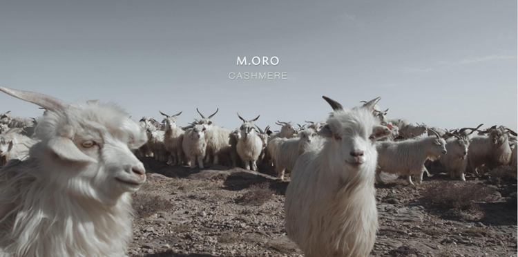 M.ORO羊绒——传递天然纤维
